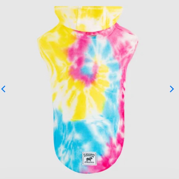 No Authority Dog Hoodie - Picture 2 of 3